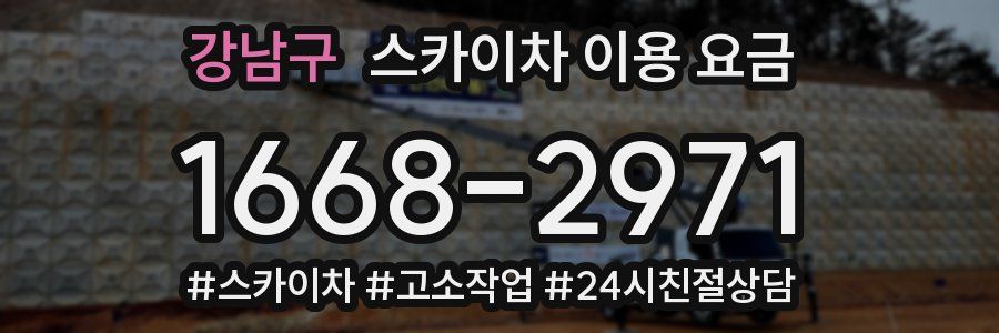 강남구 스카이차 이용 요금