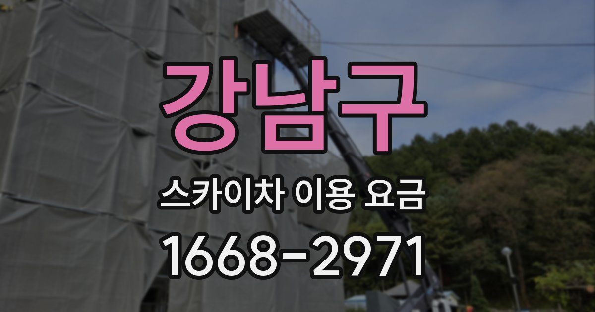 강남구 스카이차 이용 요금