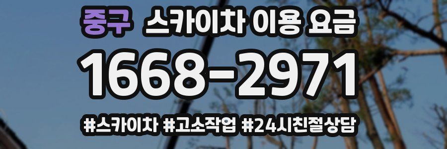 중구 스카이차 이용 요금