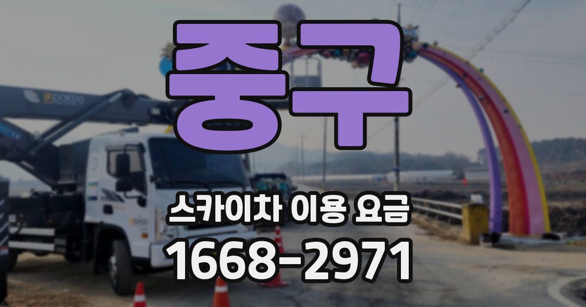 중구 스카이차 이용 요금