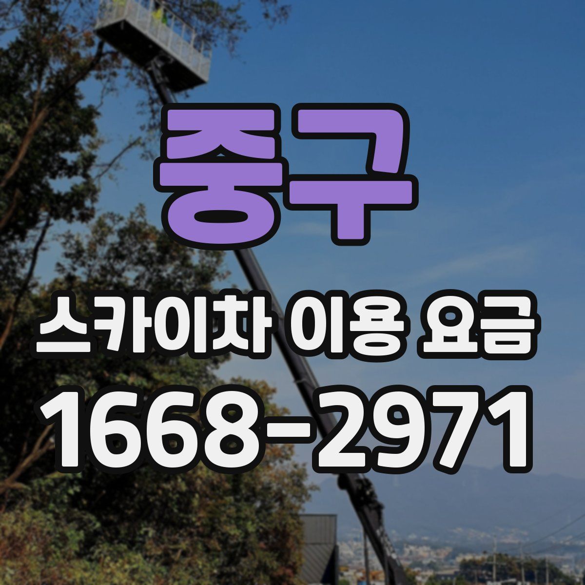 중구 스카이차 이용 요금