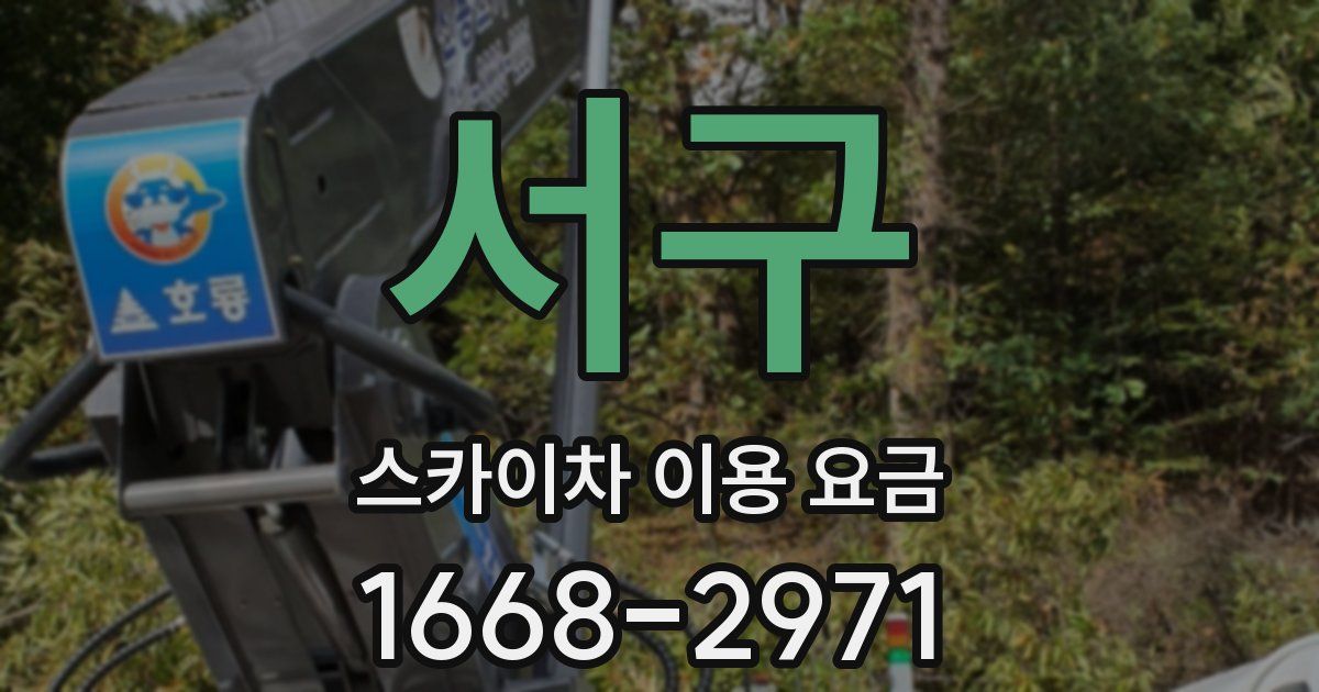 서구 스카이차 이용 요금