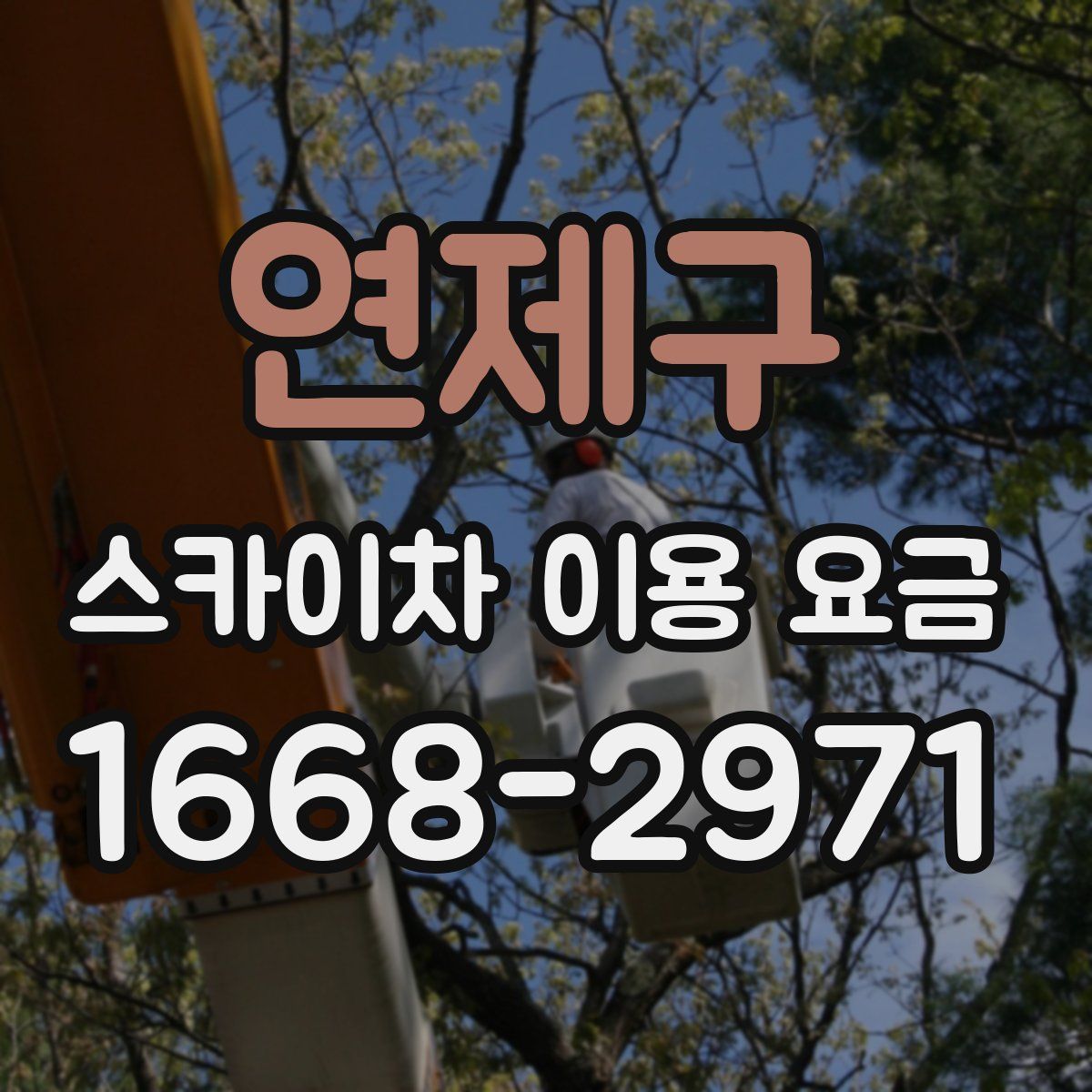 연제구 스카이차 이용 요금