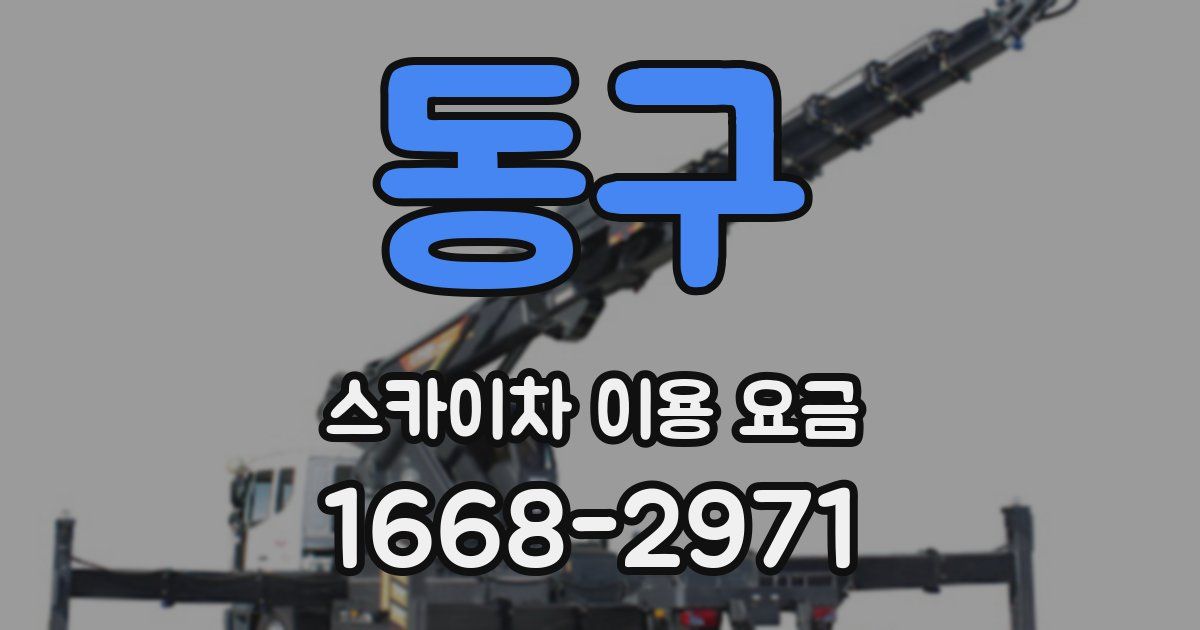 동구 스카이차 이용 요금