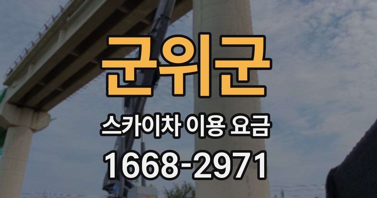 군위군 스카이차 이용 요금