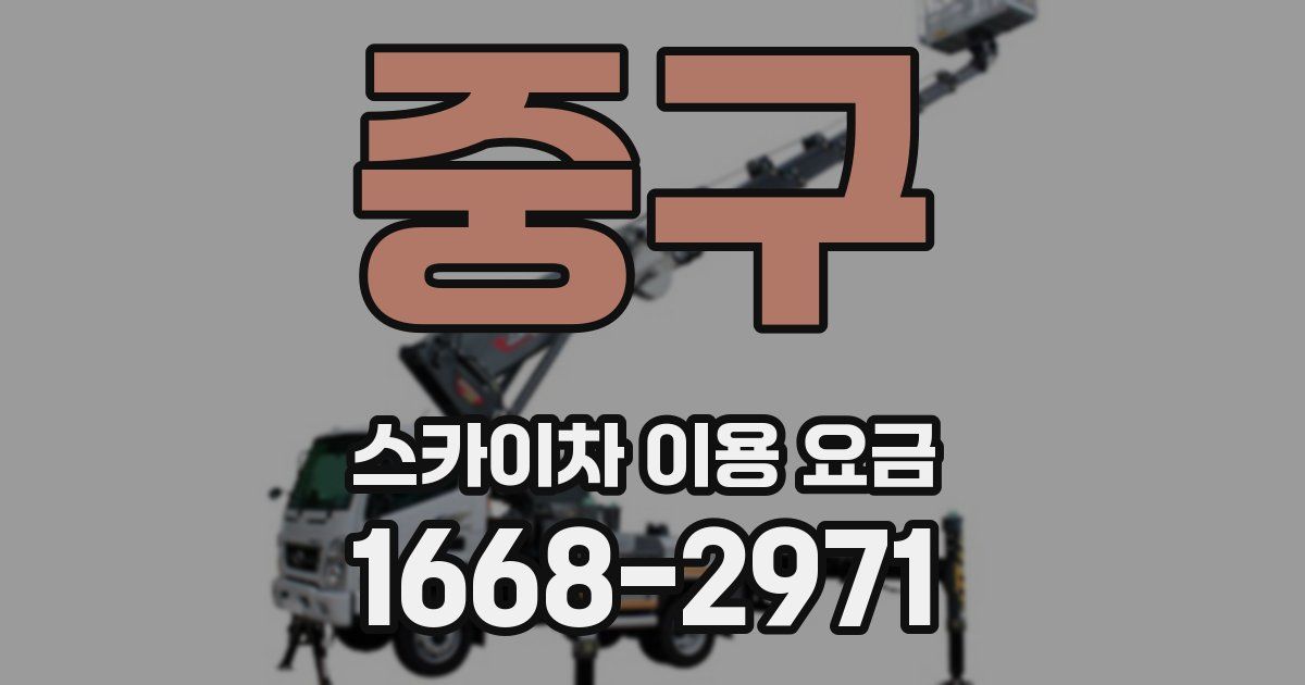 중구 스카이차 이용 요금
