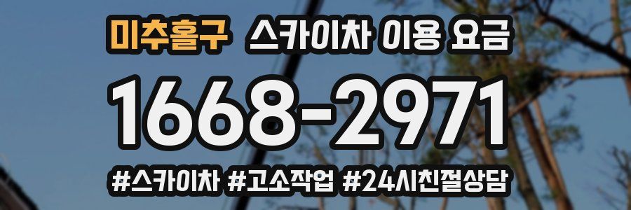 미추홀구 스카이차 이용 요금