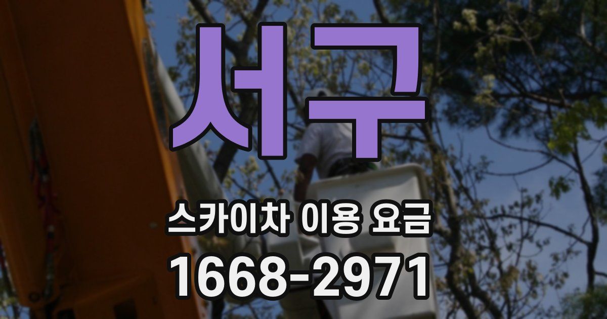 서구 스카이차 이용 요금