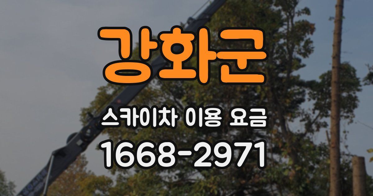 강화군 스카이차 이용 요금