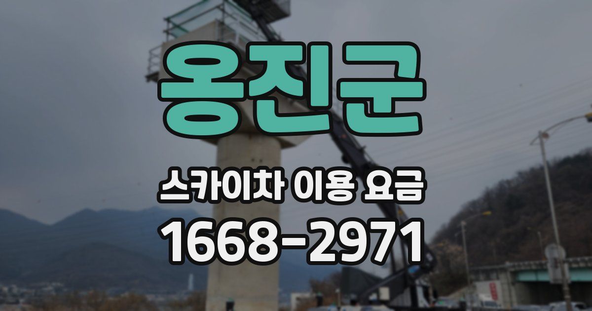 옹진군 스카이차 이용 요금
