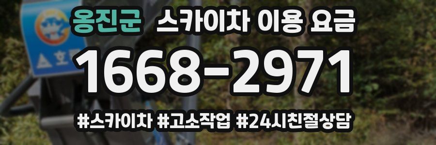 옹진군 스카이차 이용 요금