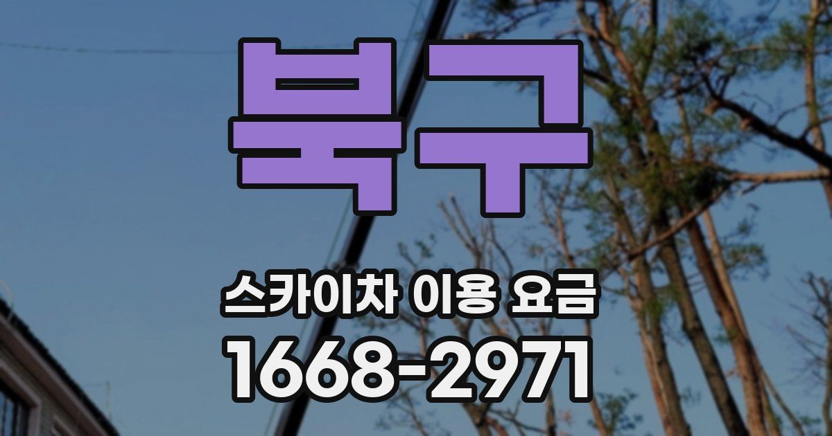 북구 스카이차 이용 요금