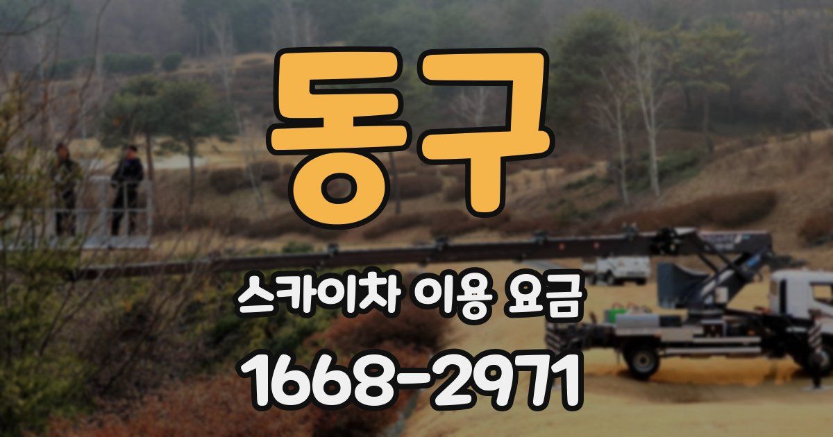 동구 스카이차 이용 요금