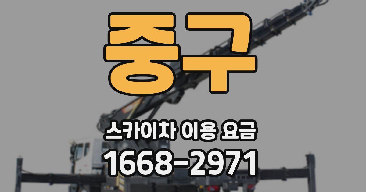 중구 스카이차 이용 요금
