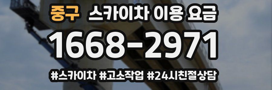 중구 스카이차 이용 요금