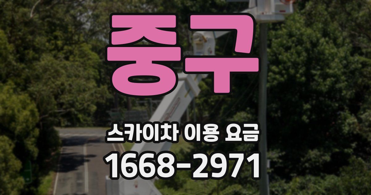 중구 스카이차 이용 요금