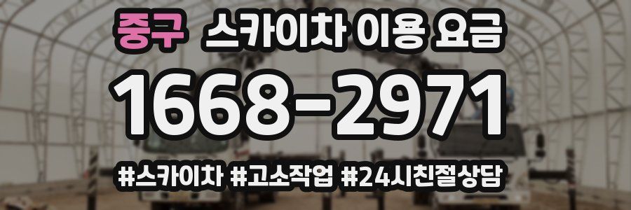 중구 스카이차 이용 요금