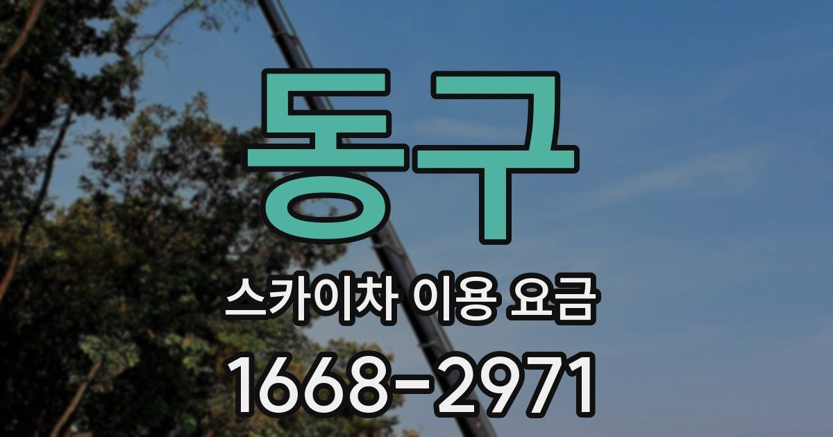 동구 스카이차 이용 요금