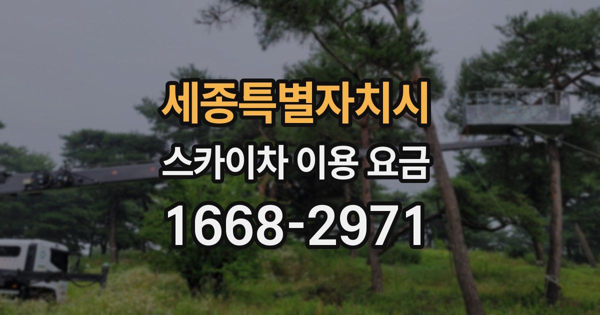 세종특별자치시 스카이차 이용 요금