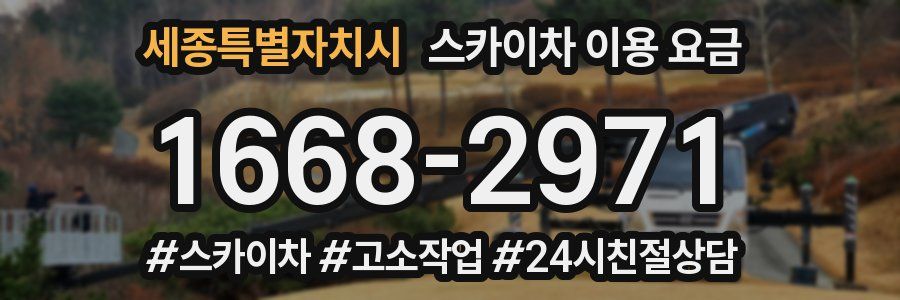 세종특별자치시 스카이차 이용 요금