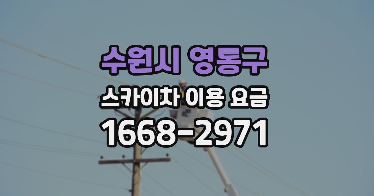수원시 영통구 스카이차 이용 요금