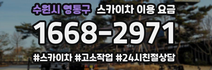 수원시 영통구 스카이차 이용 요금