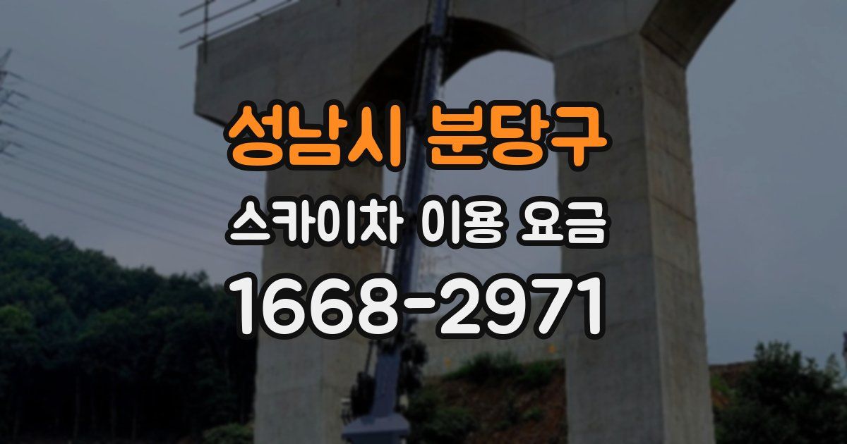 성남시 분당구 스카이차 이용 요금