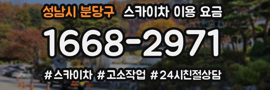 성남시 분당구 스카이차 이용 요금