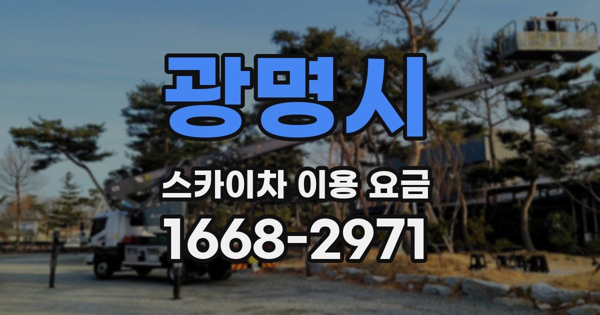 광명시 스카이차 이용 요금