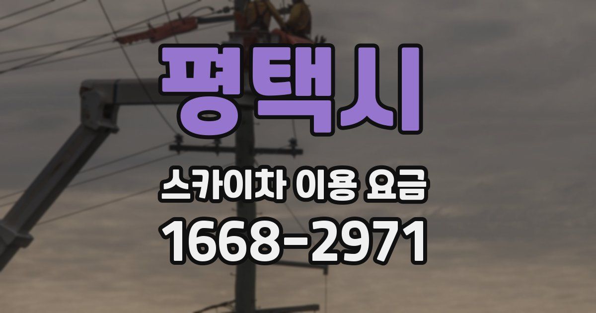 평택시 스카이차 이용 요금