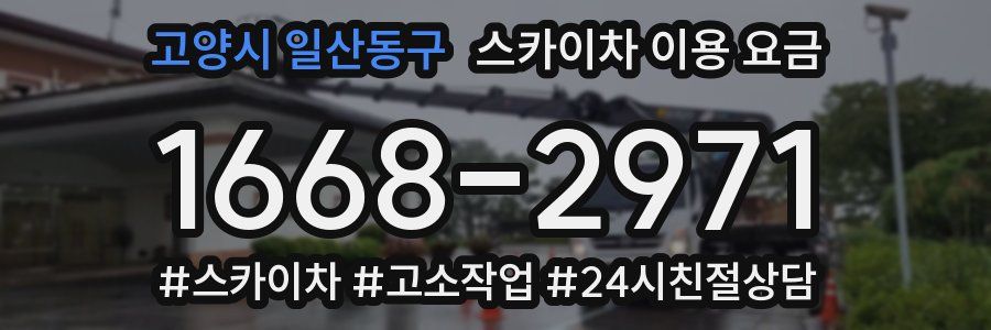 고양시 일산동구 스카이차 이용 요금