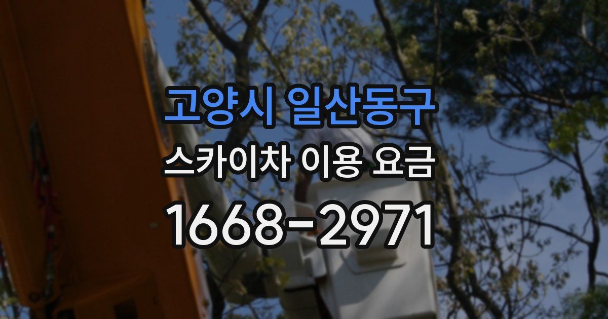고양시 일산동구 스카이차 이용 요금