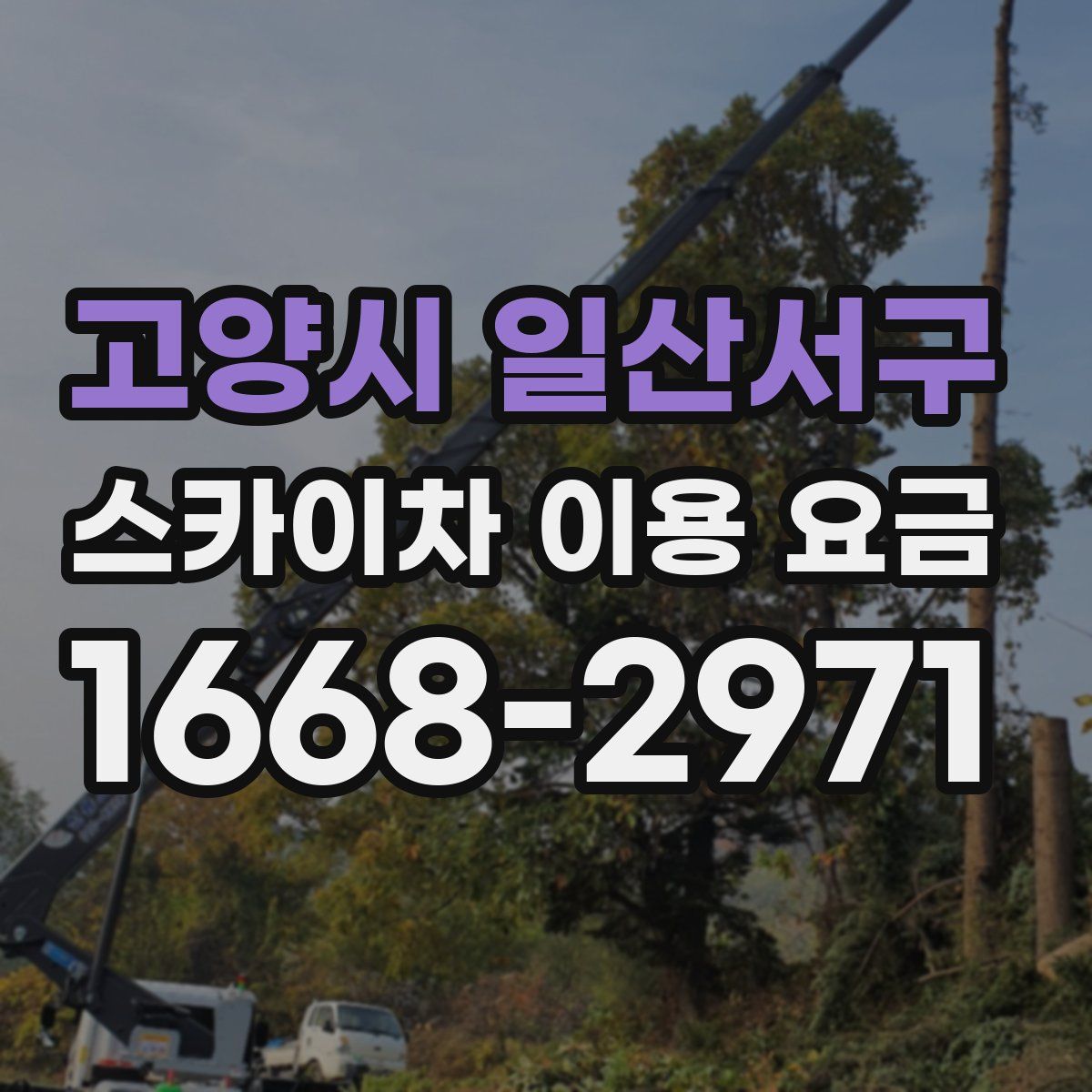 고양시 일산서구 스카이차 이용 요금