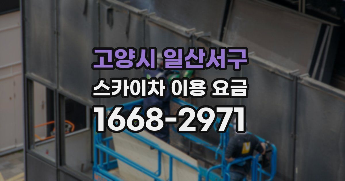 고양시 일산서구 스카이차 이용 요금