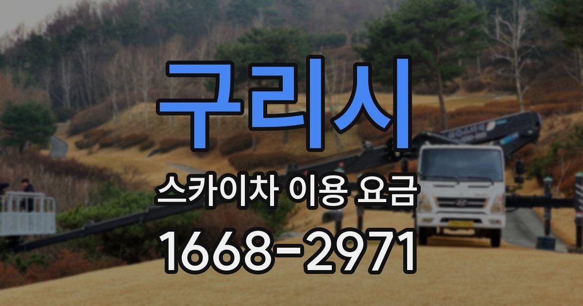 구리시 스카이차 이용 요금