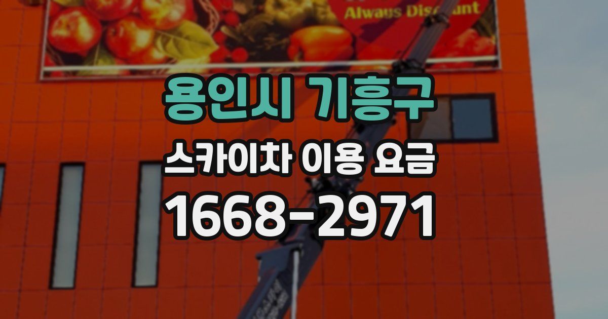 용인시 기흥구 스카이차 이용 요금