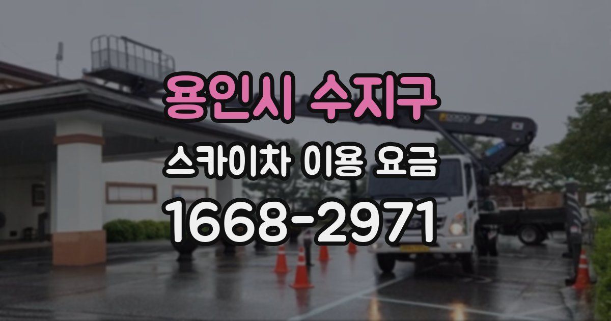 용인시 수지구 스카이차 이용 요금
