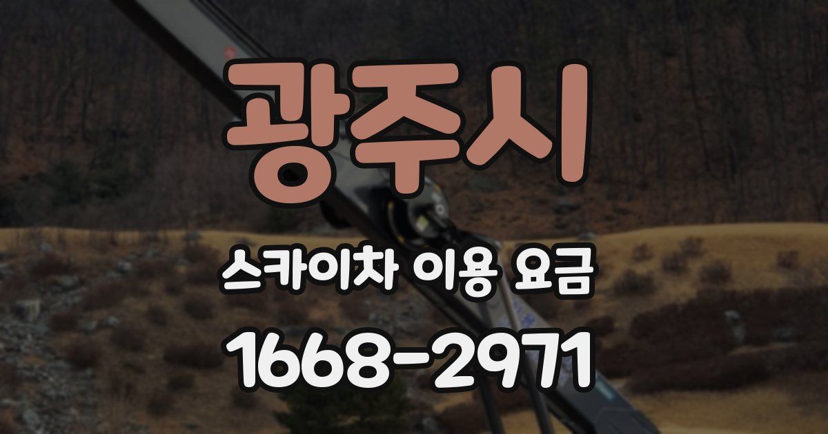 광주시 스카이차 이용 요금