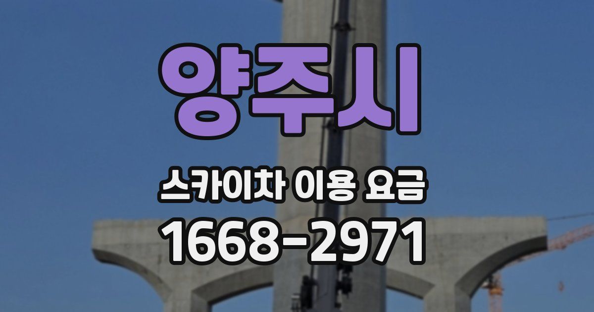 양주시 스카이차 이용 요금