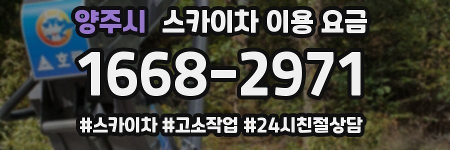 양주시 스카이차 이용 요금