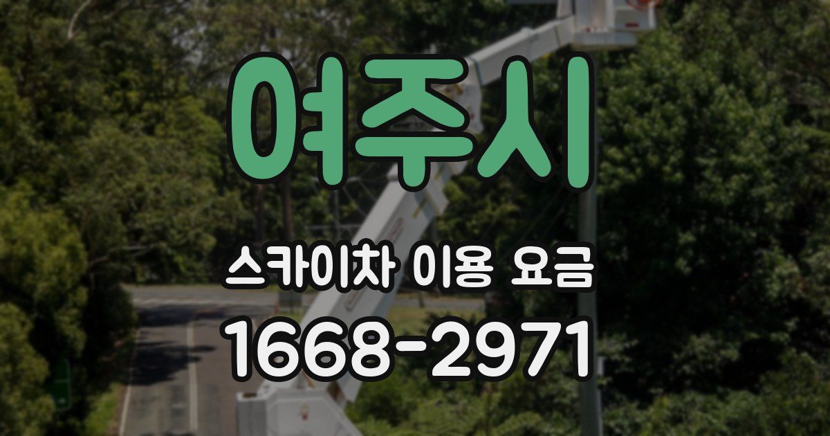 여주시 스카이차 이용 요금