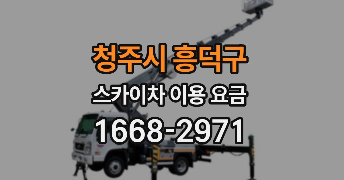 청주시 흥덕구 스카이차 이용 요금