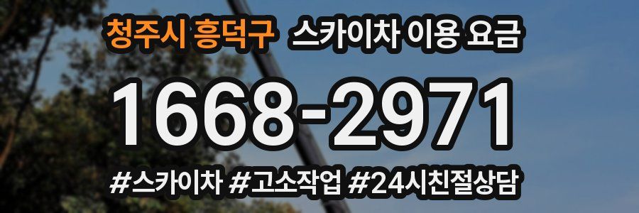 청주시 흥덕구 스카이차 이용 요금