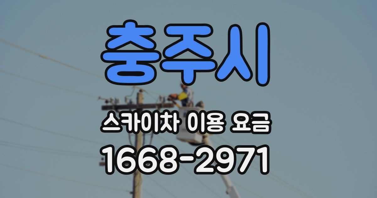 충주시 스카이차 이용 요금