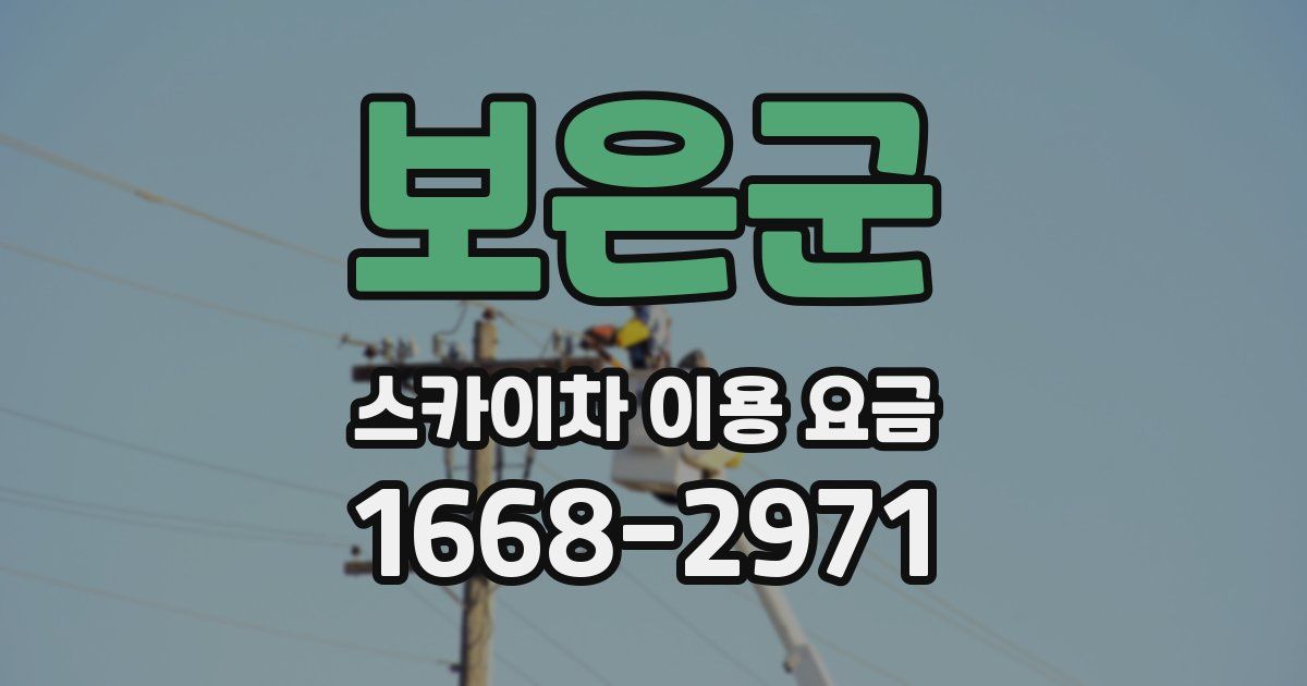 보은군 스카이차 이용 요금