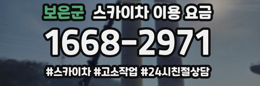 보은군 스카이차 이용 요금