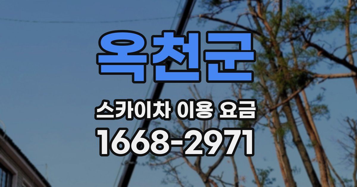 옥천군 스카이차 이용 요금