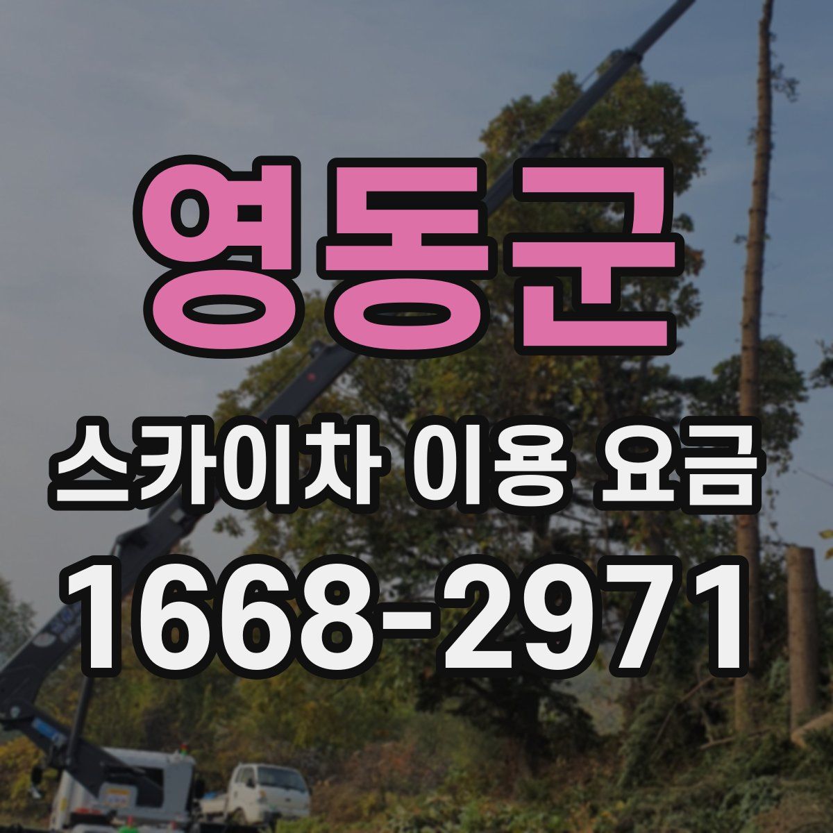 영동군 스카이차 이용 요금