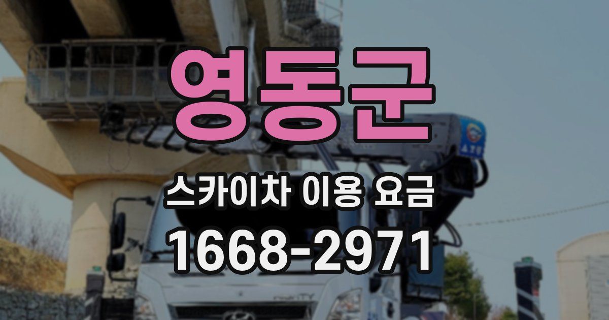 영동군 스카이차 이용 요금