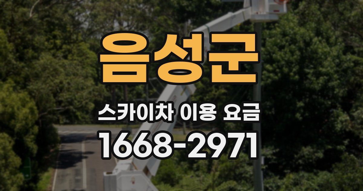 음성군 스카이차 이용 요금